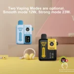 Solobar 16,000 Puffs - Image 10